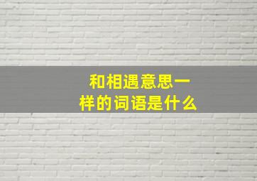 和相遇意思一样的词语是什么