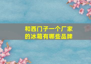 和西门子一个厂家的冰箱有哪些品牌