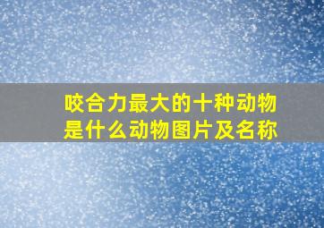 咬合力最大的十种动物是什么动物图片及名称