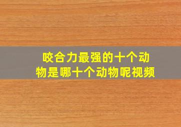 咬合力最强的十个动物是哪十个动物呢视频