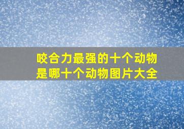 咬合力最强的十个动物是哪十个动物图片大全