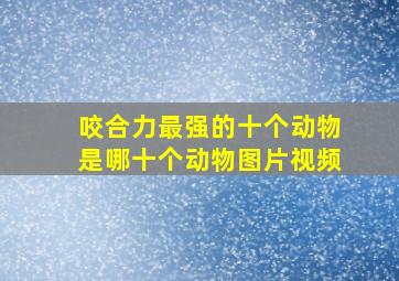 咬合力最强的十个动物是哪十个动物图片视频