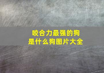 咬合力最强的狗是什么狗图片大全