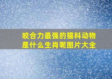 咬合力最强的猫科动物是什么生肖呢图片大全