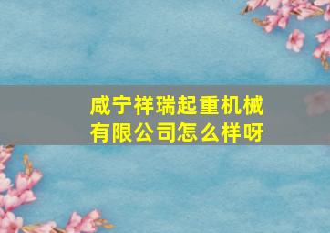 咸宁祥瑞起重机械有限公司怎么样呀