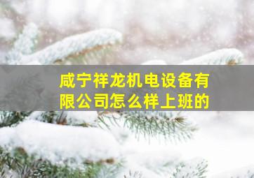 咸宁祥龙机电设备有限公司怎么样上班的