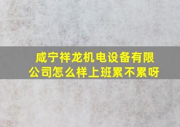 咸宁祥龙机电设备有限公司怎么样上班累不累呀