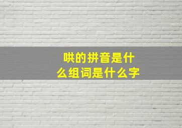 哄的拼音是什么组词是什么字