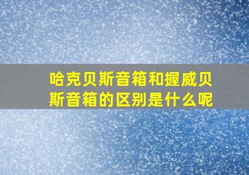 哈克贝斯音箱和握威贝斯音箱的区别是什么呢