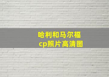 哈利和马尔福cp照片高清图