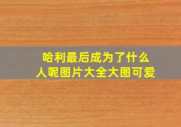 哈利最后成为了什么人呢图片大全大图可爱