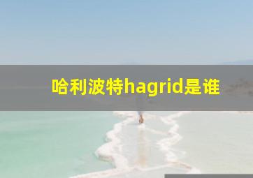 哈利波特hagrid是谁