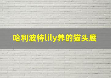 哈利波特lily养的猫头鹰