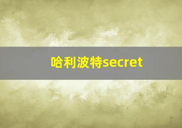 哈利波特secret