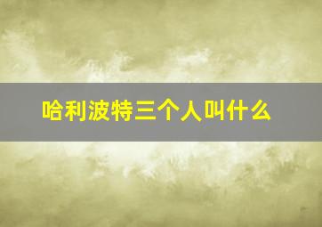 哈利波特三个人叫什么