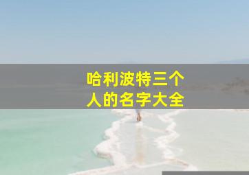 哈利波特三个人的名字大全