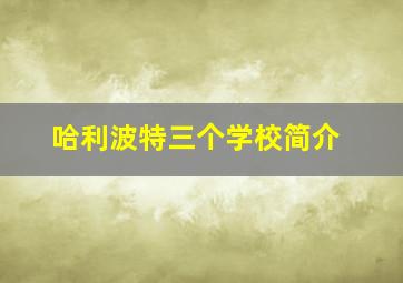 哈利波特三个学校简介