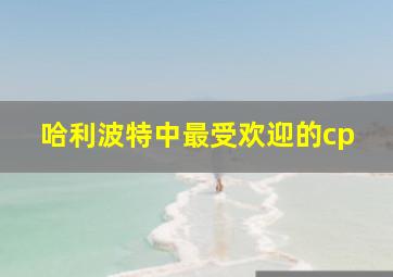 哈利波特中最受欢迎的cp