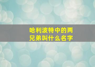 哈利波特中的两兄弟叫什么名字