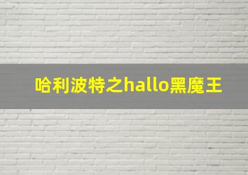 哈利波特之hallo黑魔王