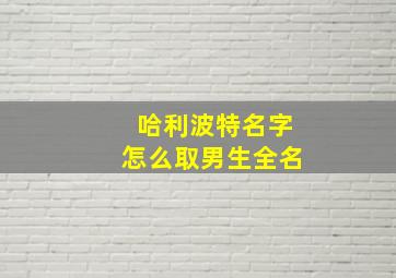 哈利波特名字怎么取男生全名