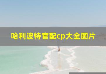 哈利波特官配cp大全图片