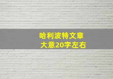 哈利波特文章大意20字左右