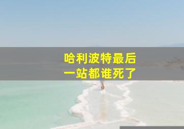 哈利波特最后一站都谁死了