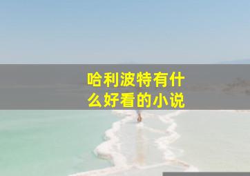 哈利波特有什么好看的小说