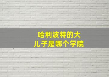 哈利波特的大儿子是哪个学院