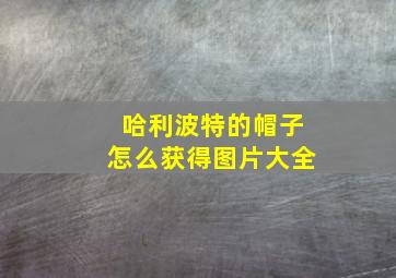 哈利波特的帽子怎么获得图片大全