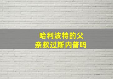 哈利波特的父亲救过斯内普吗