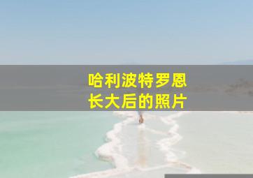 哈利波特罗恩长大后的照片