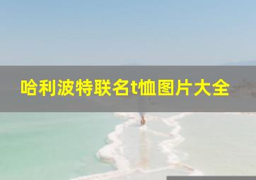 哈利波特联名t恤图片大全