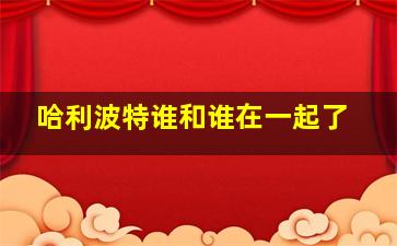 哈利波特谁和谁在一起了