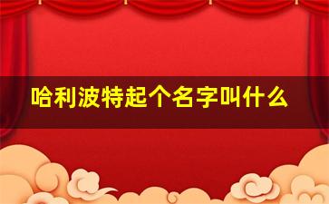 哈利波特起个名字叫什么