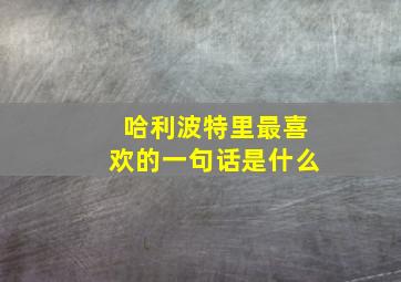 哈利波特里最喜欢的一句话是什么