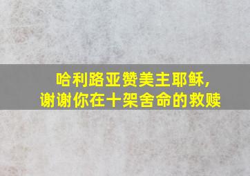 哈利路亚赞美主耶稣,谢谢你在十架舍命的救赎