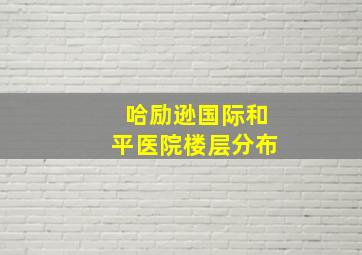 哈励逊国际和平医院楼层分布