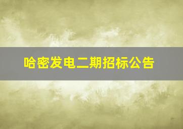 哈密发电二期招标公告