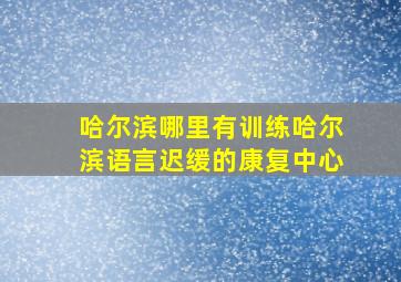 哈尔滨哪里有训练哈尔滨语言迟缓的康复中心