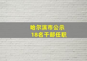 哈尔滨市公示18名干部任职