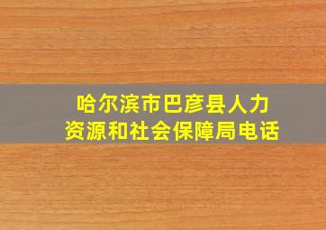 哈尔滨市巴彦县人力资源和社会保障局电话