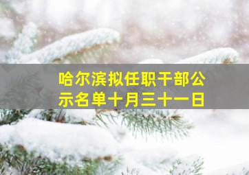 哈尔滨拟任职干部公示名单十月三十一日