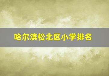 哈尔滨松北区小学排名