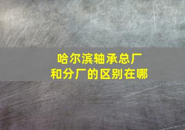 哈尔滨轴承总厂和分厂的区别在哪