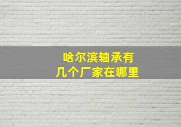 哈尔滨轴承有几个厂家在哪里