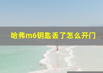 哈弗m6钥匙丢了怎么开门