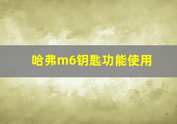 哈弗m6钥匙功能使用