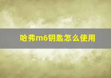 哈弗m6钥匙怎么使用